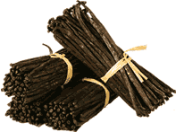 vanilla beans